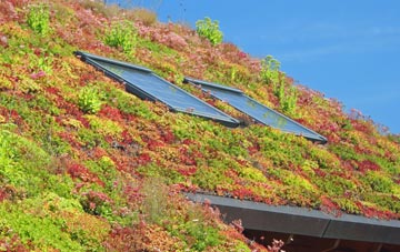 Northmoor Corner living roof systems